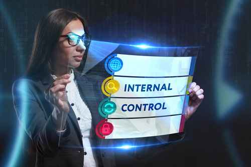 8 Types of Internal Control Accounting Systems